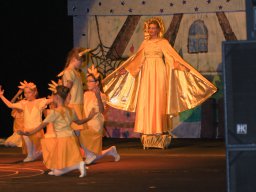 DSC03993
